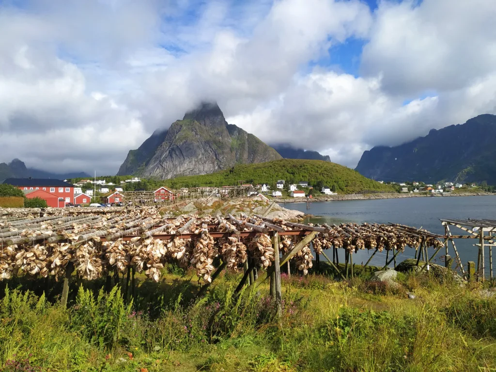 Séchoirs à poissons, Lofoten, Norvège @carnetdevan.